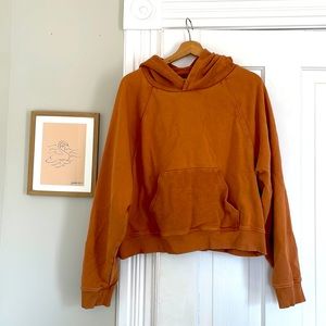 Aerie Oversized Cozy Hoodie